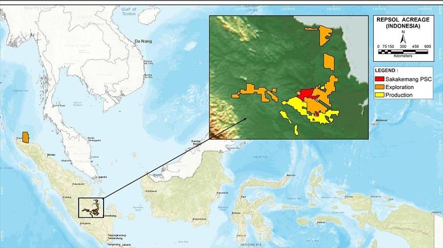 Repsol announces huge gas discovery in Indonesia