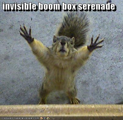 funny-pictures-say-anything-squirrel.jpg