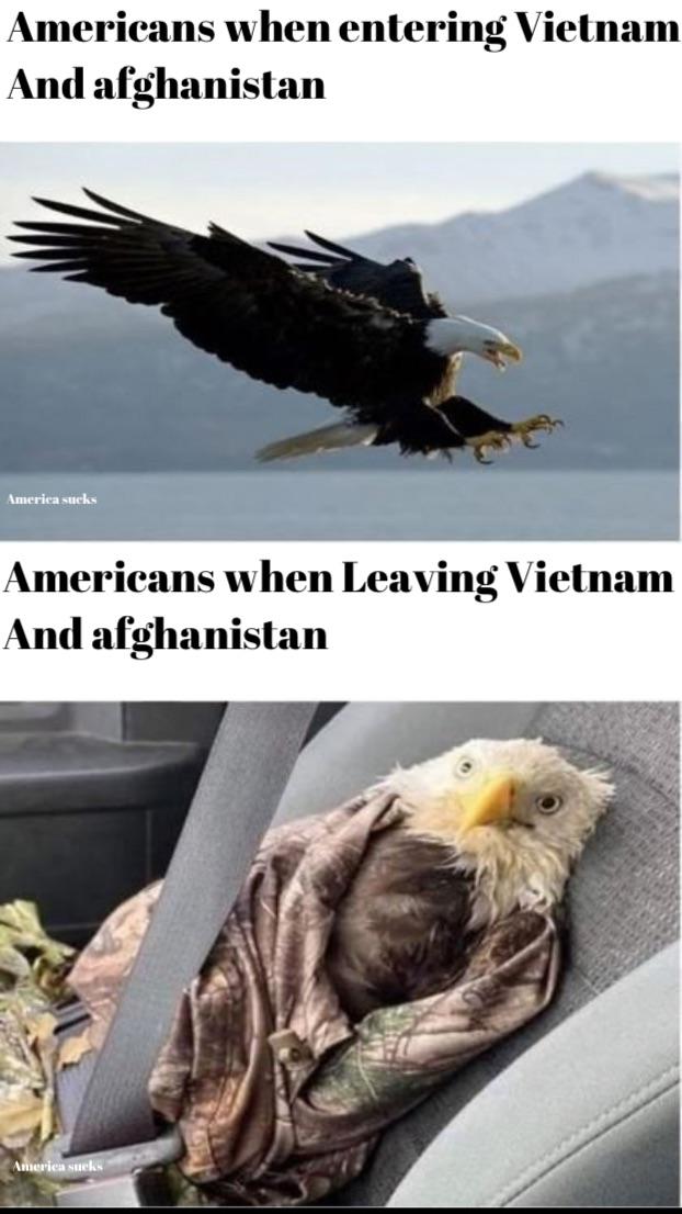 Afghanistan = Vietnam : r/memes