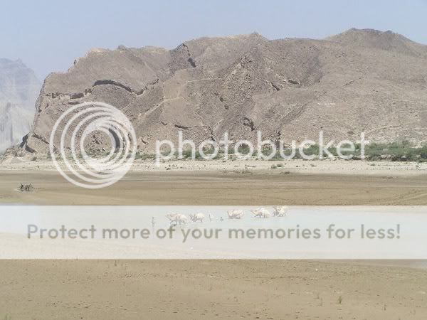 HingolNationalParkcoversabout1650kmandisthelargestofNationalParksofPakistanandliesontheMakrancoastinBalochistancopycopy.jpg