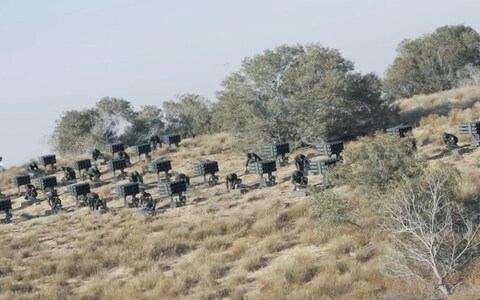 Hamas unveils its 114mm short-range Rojom rockets used in its attack on Israel this morning.