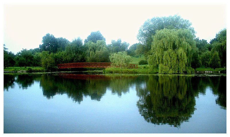 800px-Ottawa_River_%281%29.jpg