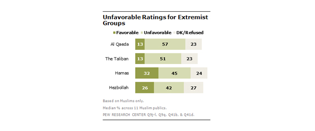 pew-survey-4.jpg