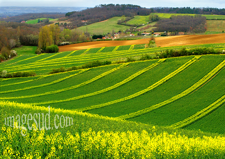 paysage-campagne-france-P-6954.jpg