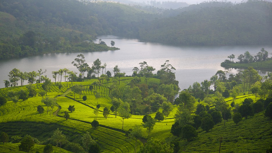 Munnar-101770.jpg