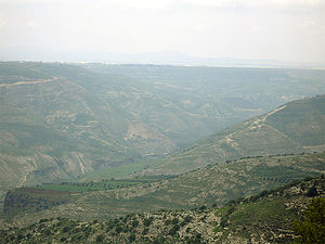 300px-Battlefield_of_yarmouk-mohammad_adil.jpg