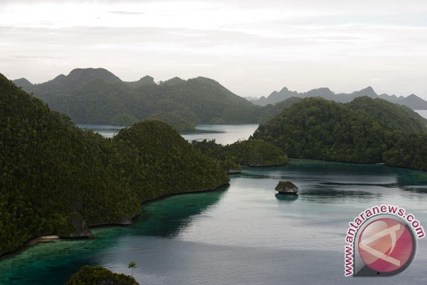 20120604Raja-Ampat-030612-bean-2.jpg