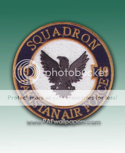 sherdils_sqn_patch.jpg