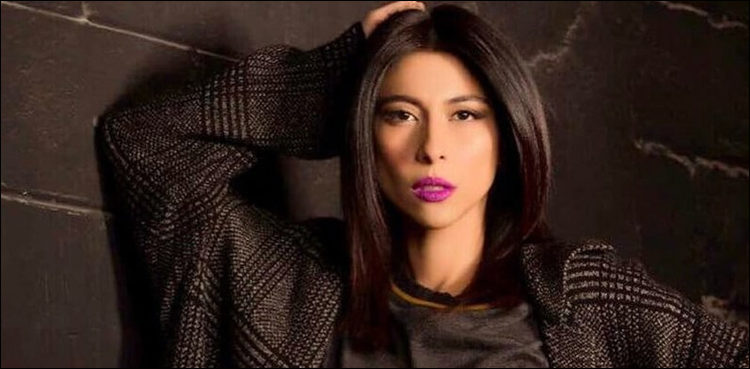 meesha-shafi-750x369.jpg