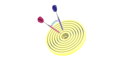 PhysRevLett.122.113602