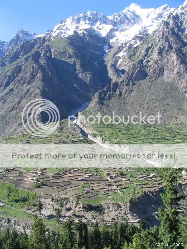 naltar_valley1.jpg