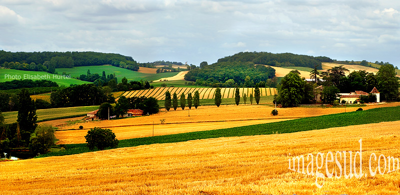 paysage-france-perigord-P2-3935.jpg