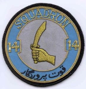 pakistan-air-force-14-sqn-bullion-patch.jpg