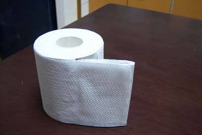 toilet_paper_roll_prank_13.jpg