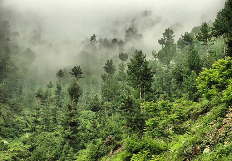 Murree!.JPG