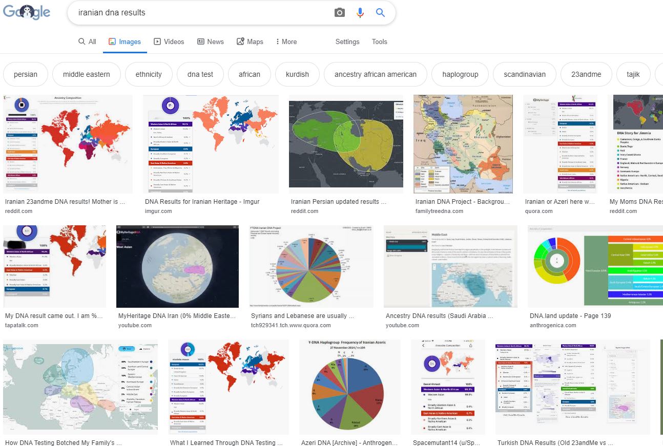 iranian-dna-results.jpg