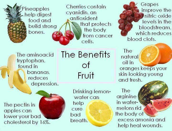 299738,xcitefun-fruit-benefits.jpg