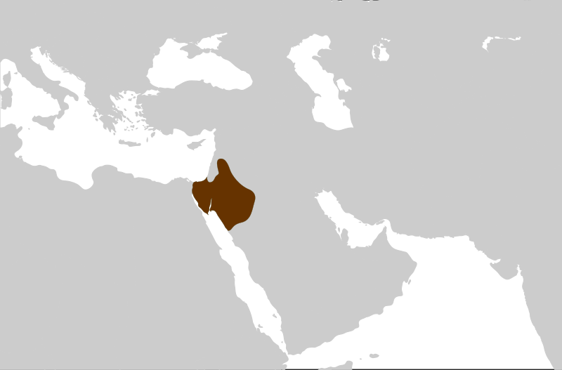 800px-Nabatean_Kingdom_%28flat_map%29.svg.png