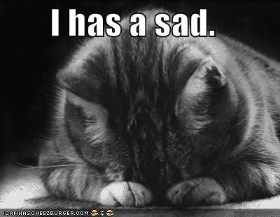 sad-cat.jpeg