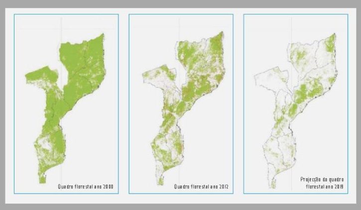 Moz Forestry cover Projection