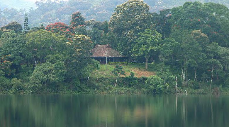 MPeriyar-Lake+Palace-Thekkadi.jpg