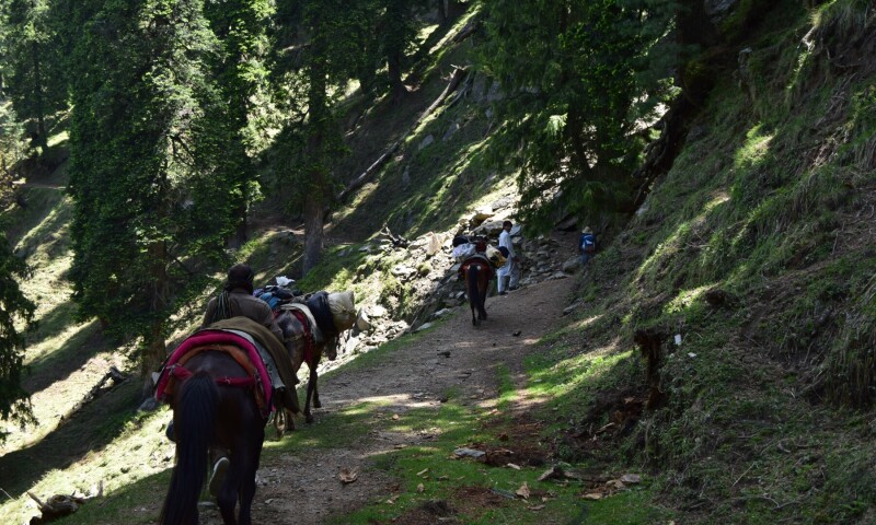 The 1905 bridle trail constructed for horses passes the test of time