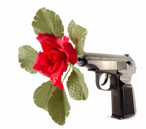 dep_5424669-Flower-in-the-barrel-of-the-gun.jpg