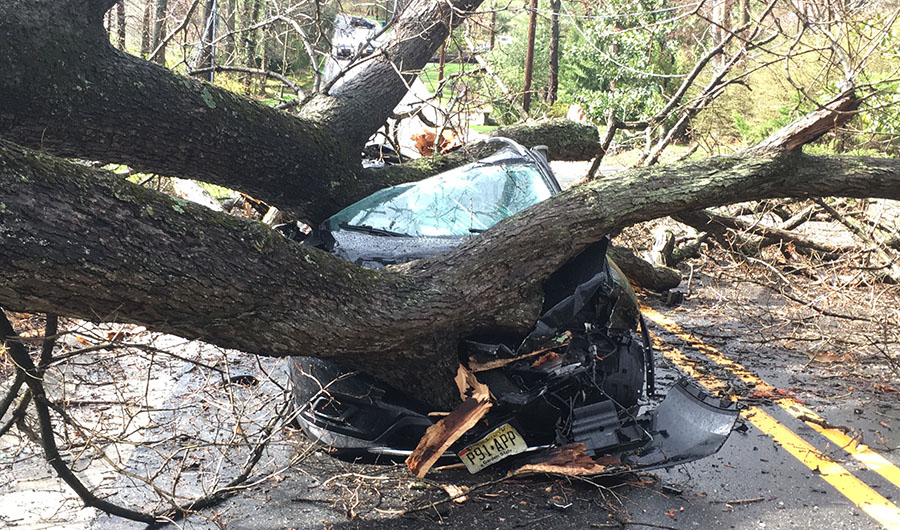 Barley-Mill-Road-tree-crash-2.jpg