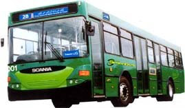 karachi+green+bus.jpg