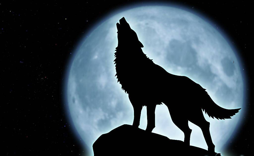 wolf-howling-silhouette-sitting.jpg