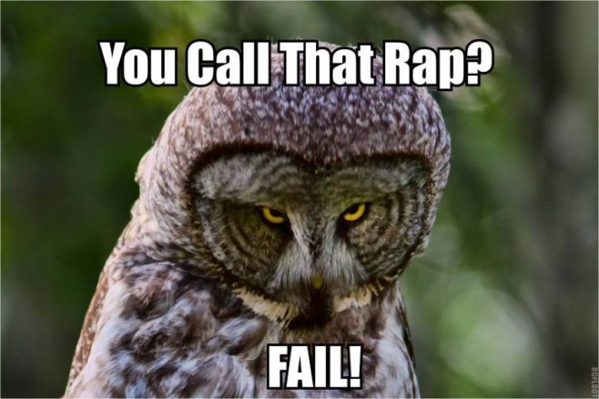 Hilariously-Adorable-Owl-Memes-4-658x438.jpg