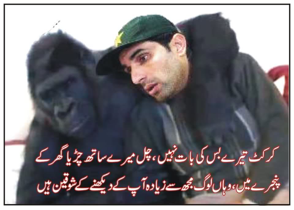 Misbah+Ul+Haq.jpg