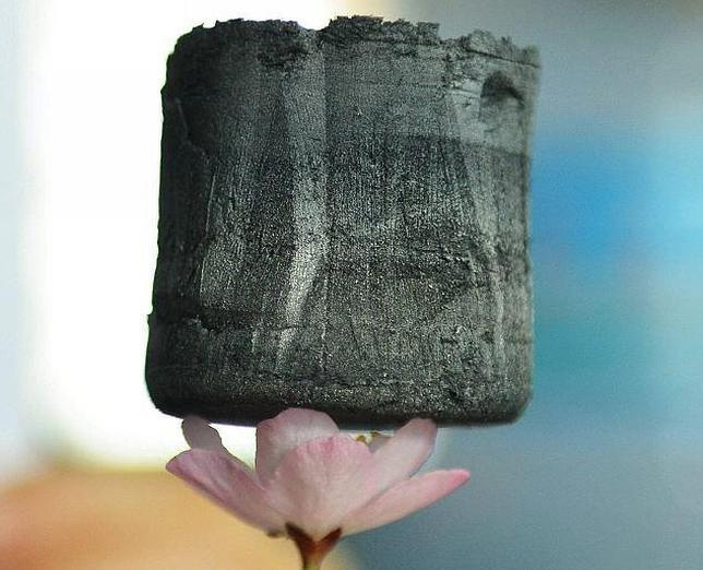 aerogel-on-flower-2-640x518.jpg