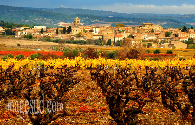 paysage-minervois-france-P-3437.jpg