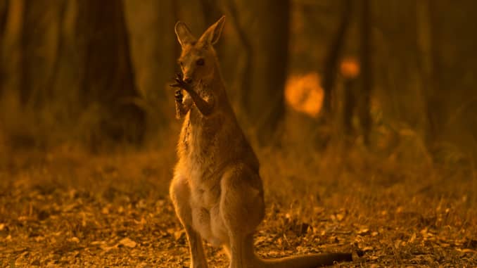 106320130-1578071873589gettyimages-1187495570.jpeg