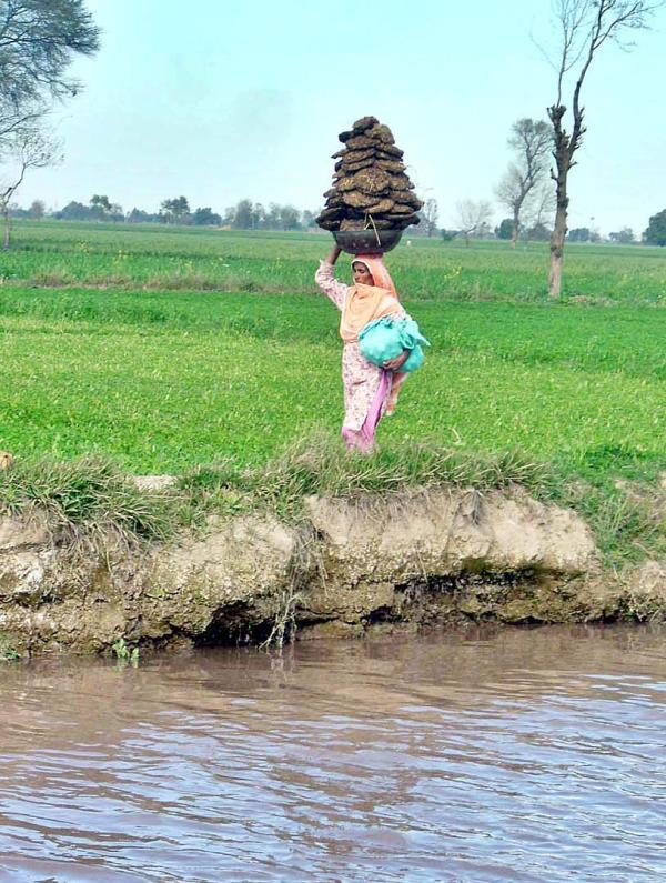 woman-with-dung-cake.jpg