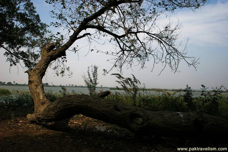 Haleji_Lake03_jugak.JPG