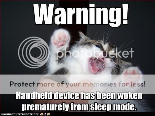 funny-pictures-cat-has-been-woken.jpg