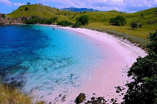 Pink+Beach+1.jpg