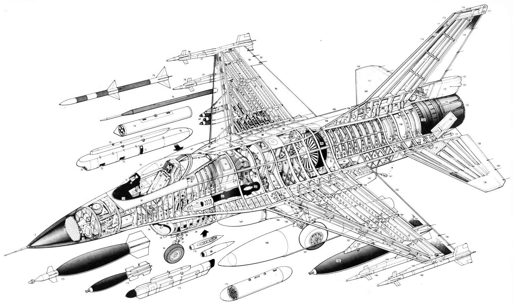 f16_20cutaway.jpg