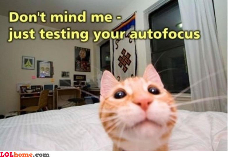 testing-the-auto-focus.jpg