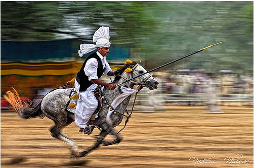 tent-pegger-of-punjab.png