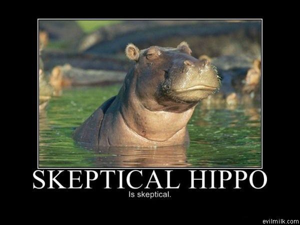 Skeptical_Hippo.jpg