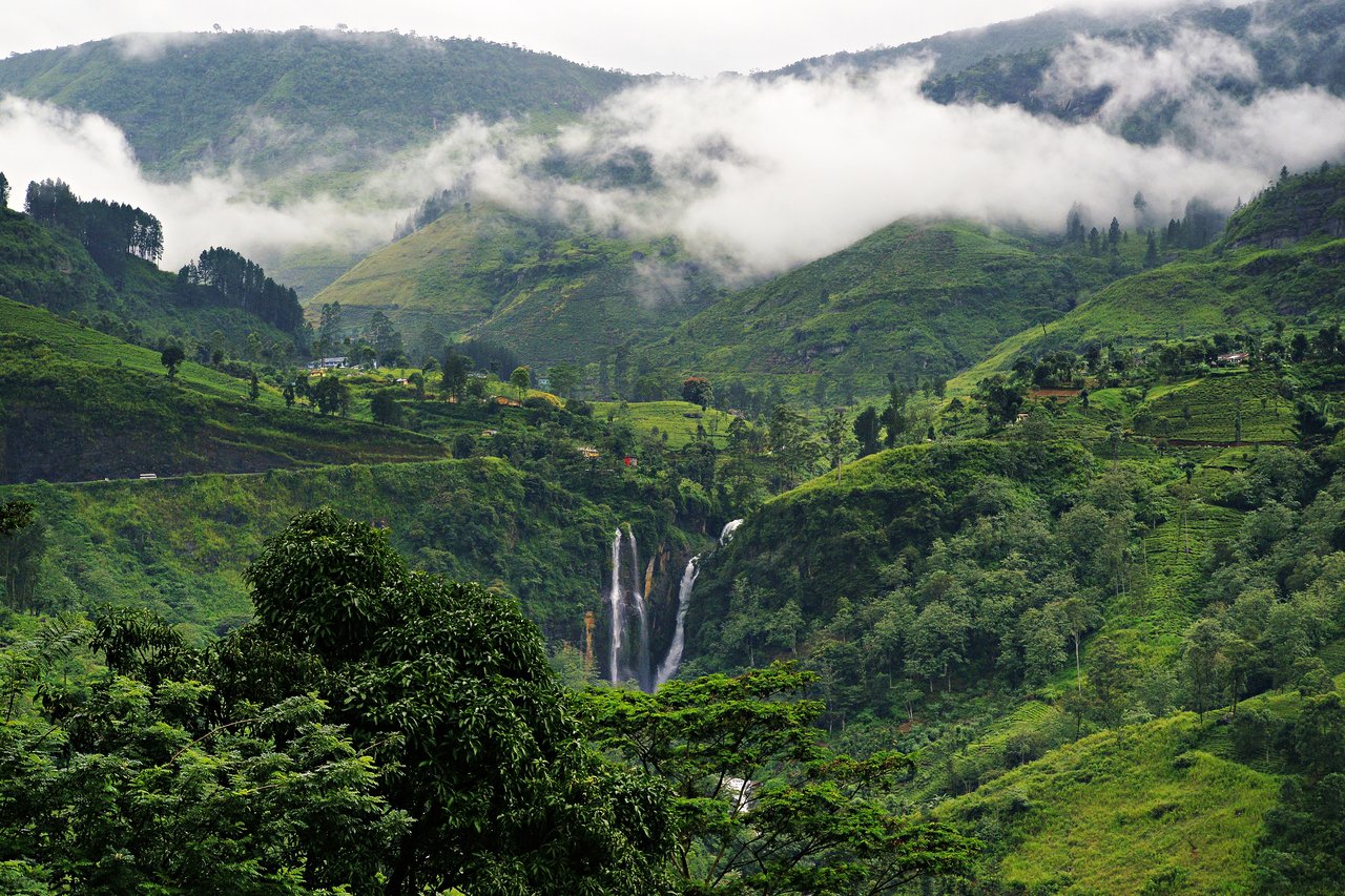 Lush+green+hills+of+Sri+Lanka.3.jpg