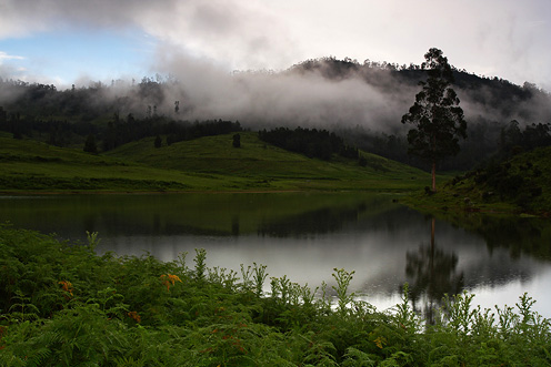 kodaikanal_2.jpg