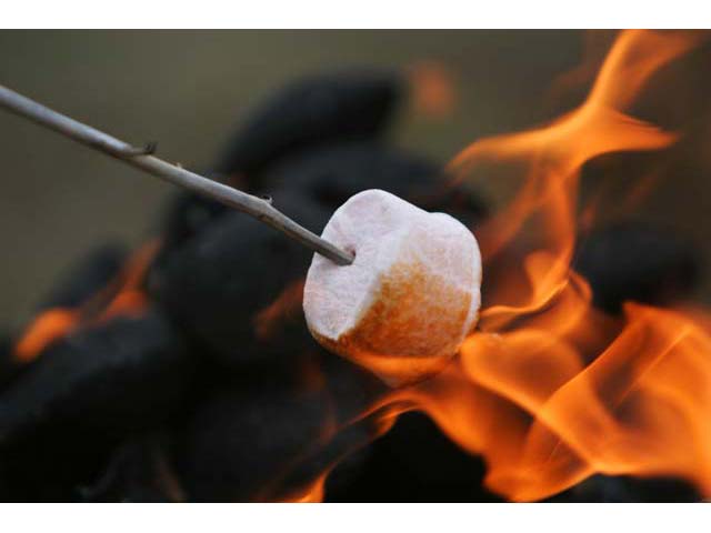 marshmallow-roasting.jpg