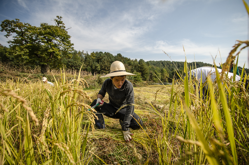 gaeguri-farm-korea_PML2018.jpg