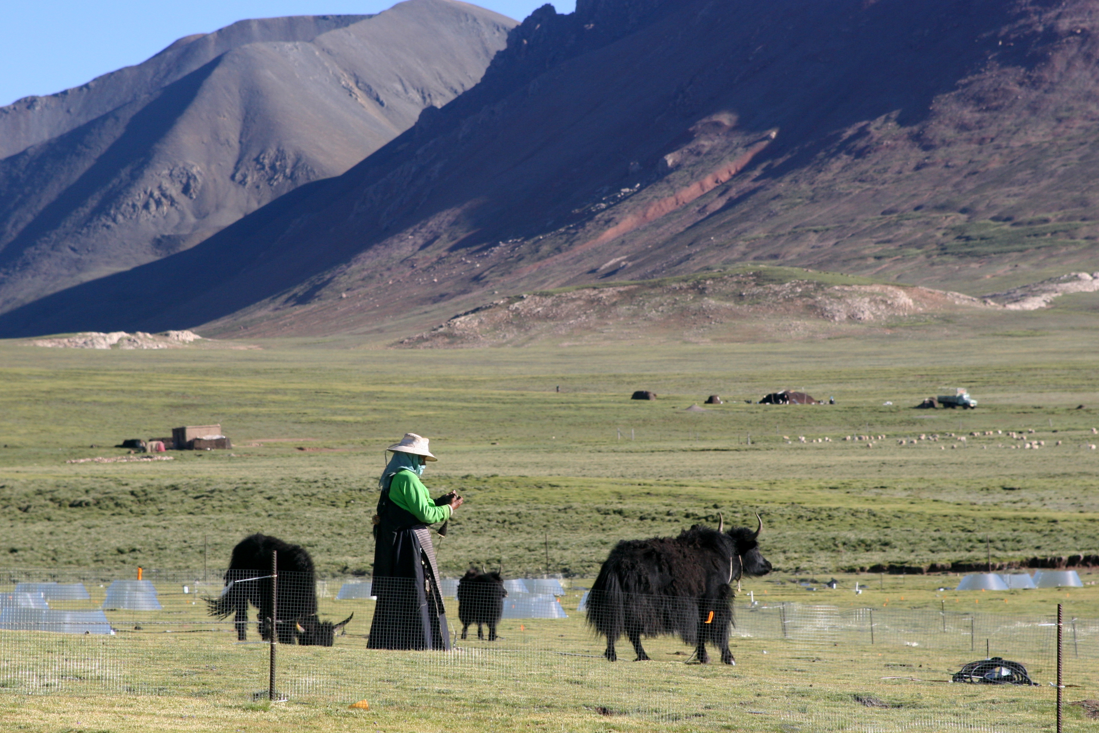 Tibet.jpg