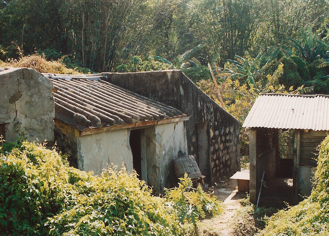 Lamma_village.jpg