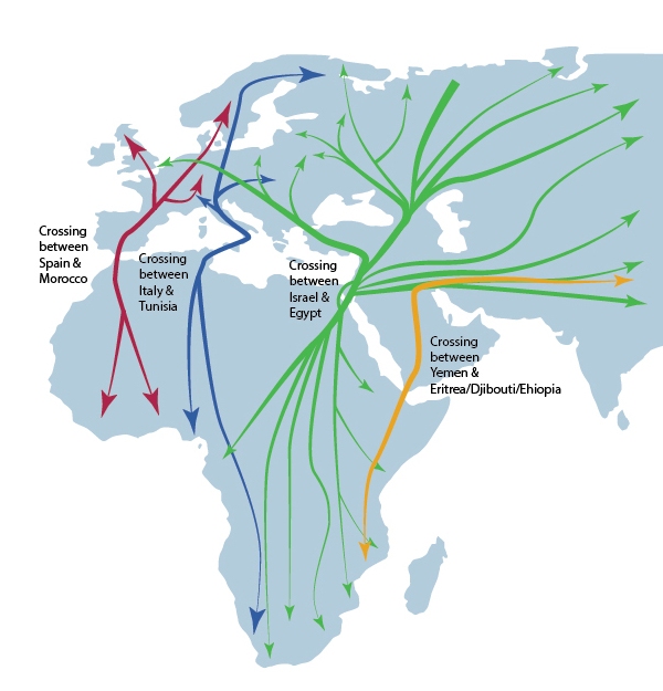 Migration_map_new_ne_600_625.jpg